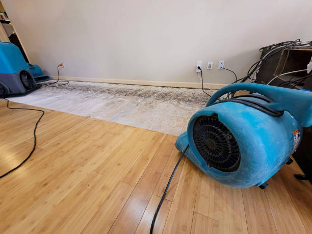 Professional Water Extraction technician working in Leonardo, NJ
